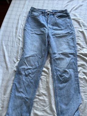Aritzia Denim Forum The BF High Rise Loose